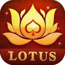 teen patti 444 download